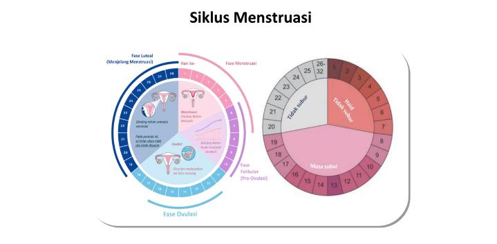 Masa Subur 1